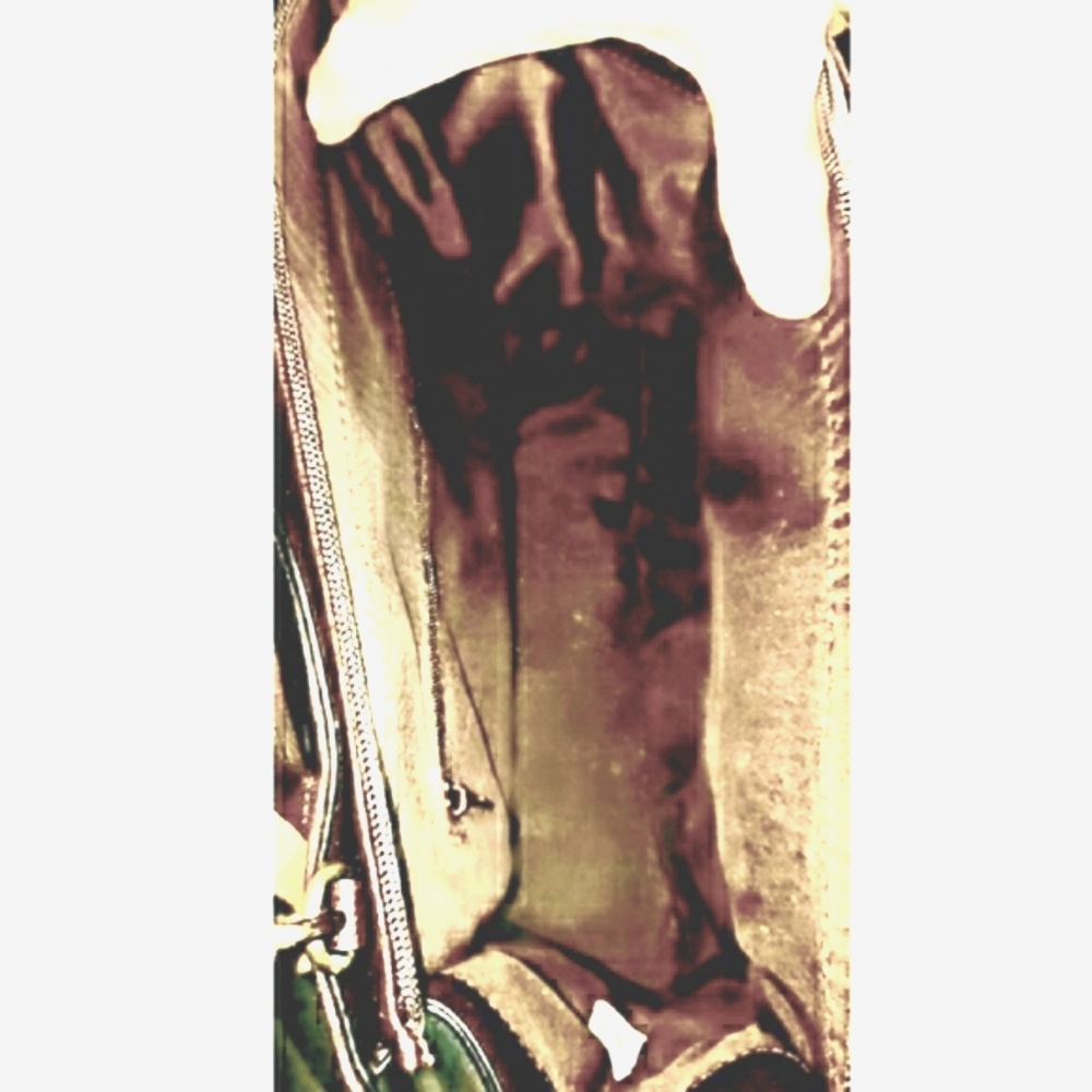 Ladys Handbag ⚜ - Picture 4 of 5